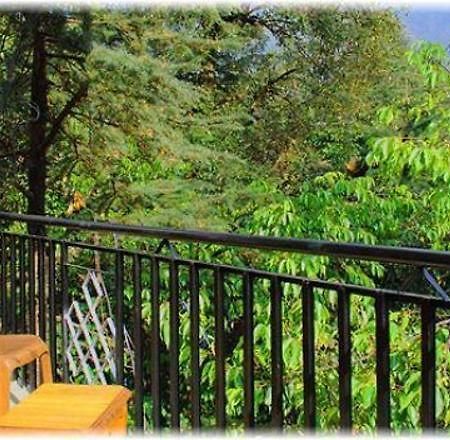 Hotel Misty Woods Dharamshala Eksteriør billede